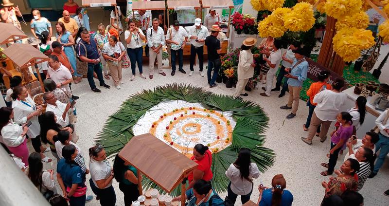 guajira