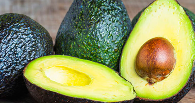 aguacate