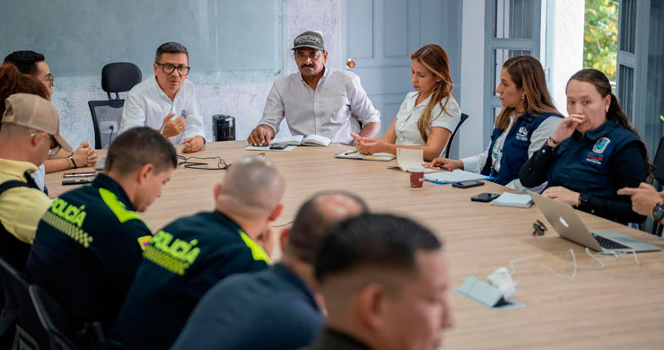 consejo-de-seguridad