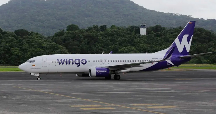 wingo