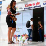 ANIMALES