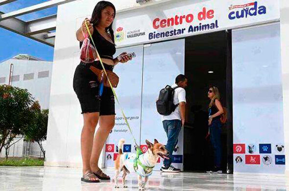 ANIMALES
