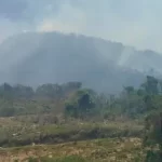 INCENDIO