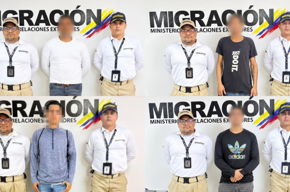 migracion